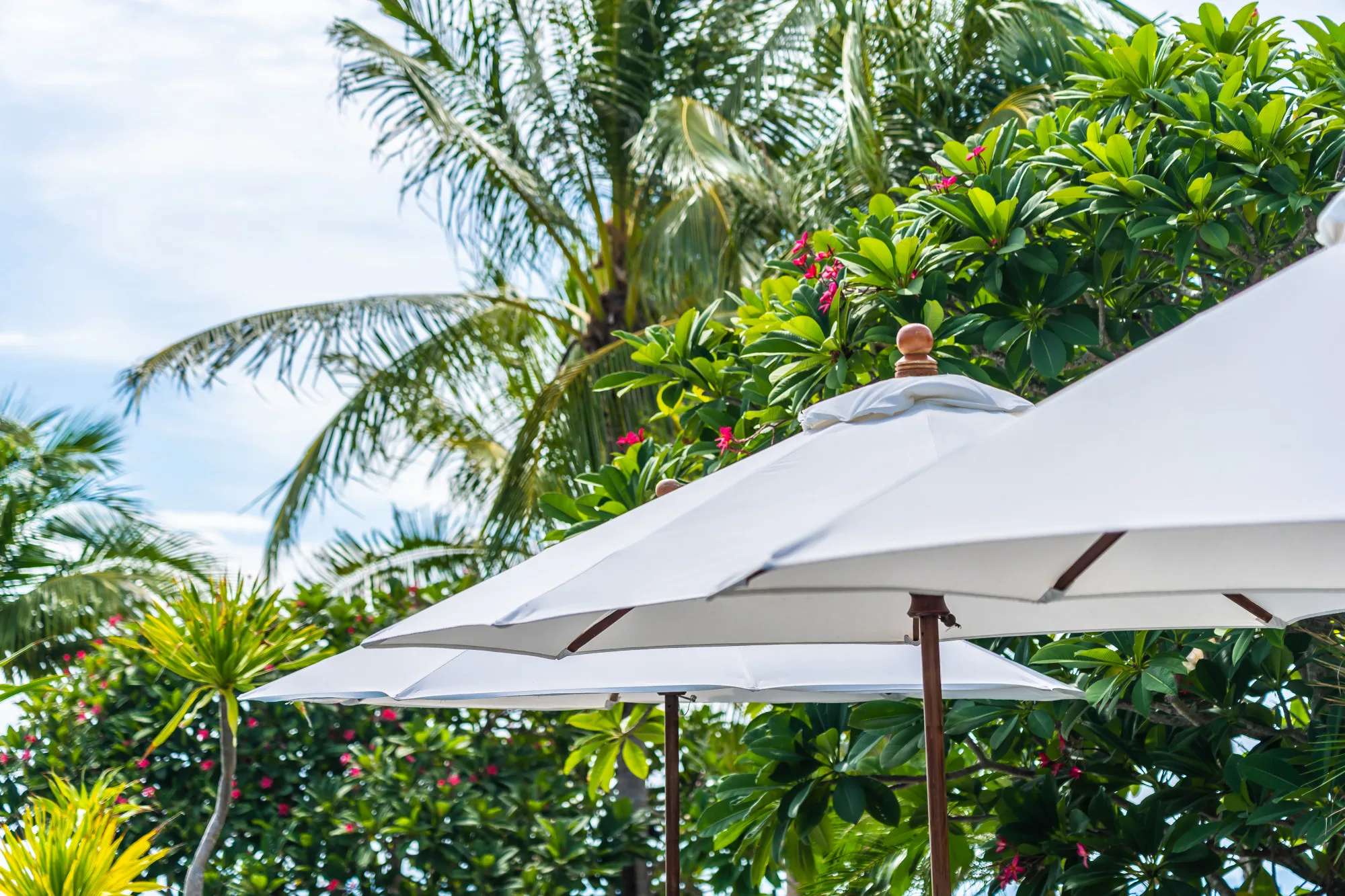 come-arredare-giardino-hotel
