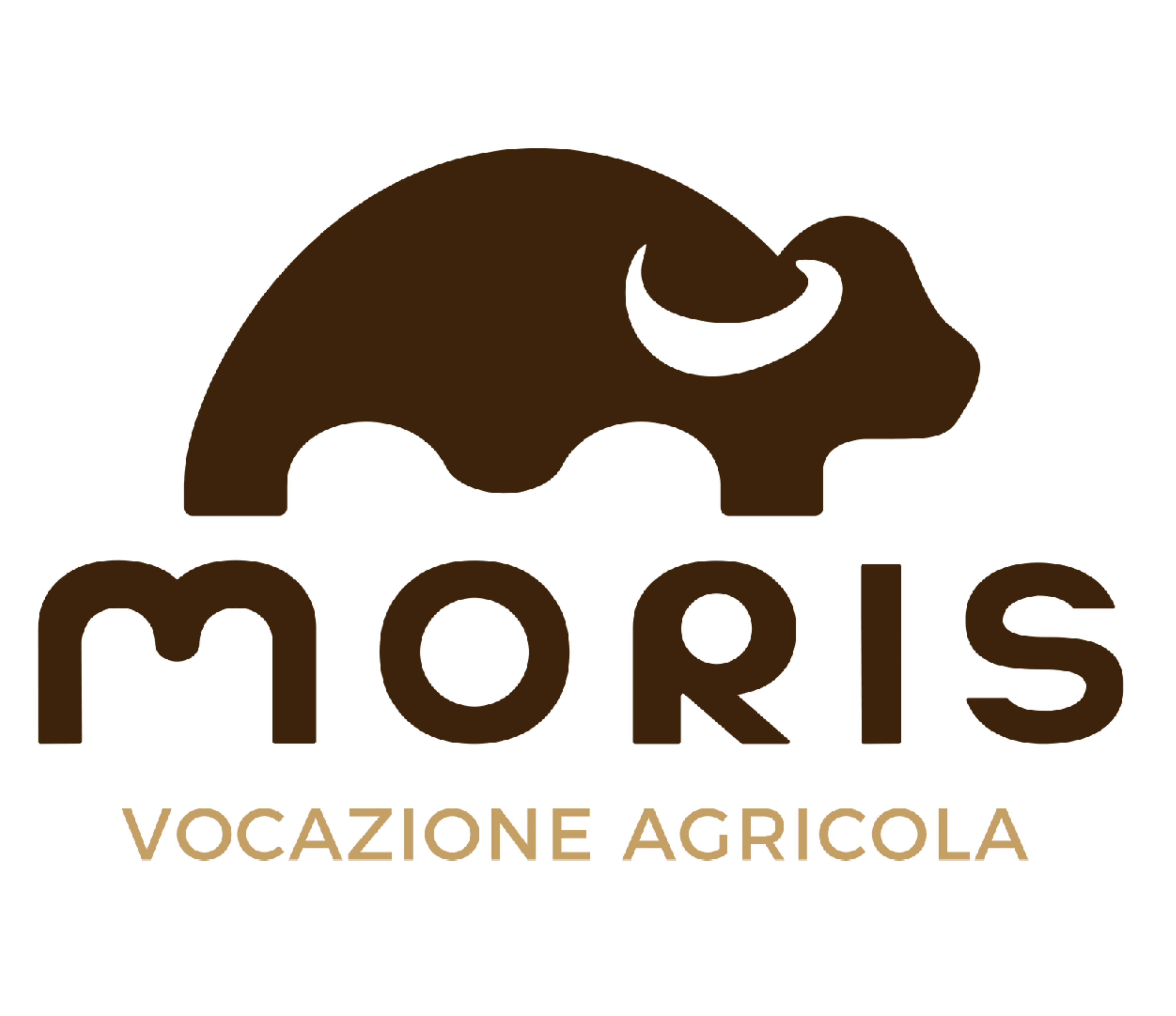 Progetto senza titolo (8)